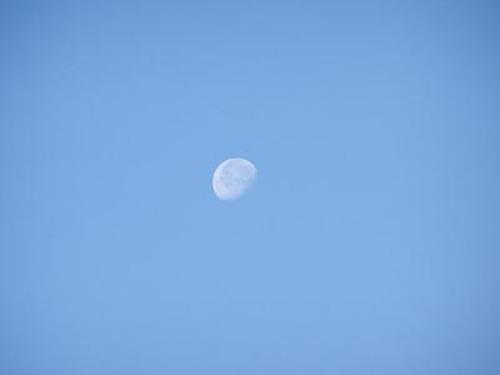 下载内蒙古11先5安全怎么样