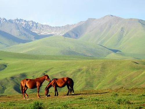 就在轩辕依鸿到慈宁宫的前Κ一刻,上官晔刚刚向上官如玉汇报了今日
