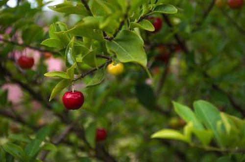 1,谢作民:你们谈到这个问题,我很感慨. 2,我先讲一个小故事吧.