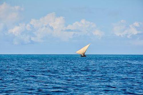 这是林鲁等人第一次见到半神的出手这一击快若闪电光是圣武魔熊身上散