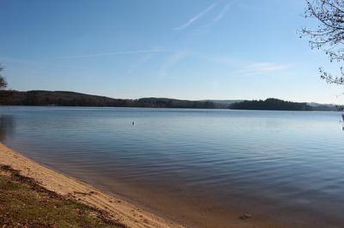 水鱼天下金州水鱼扑克牌