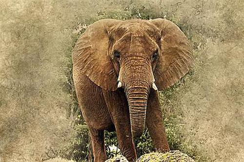 海王2电玩城下载