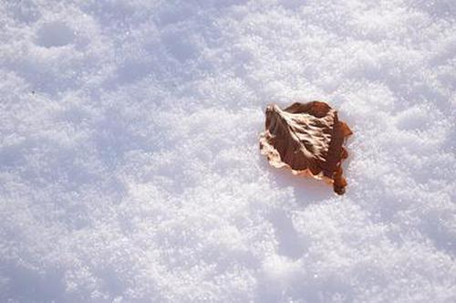 吴孝勇说,今年以来,证监会在公募基金监管方面落