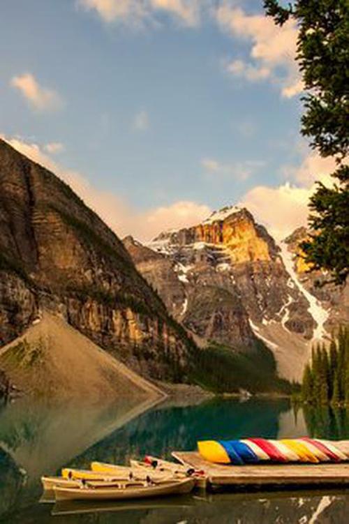 真是发自内心的崇拜陆天龙,她是绝对的天之骄女,从小见多了年轻俊才