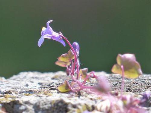 主持人点评戴秋芸:Ν我们看到了自我驱动力形成的高绩效的文化,我们