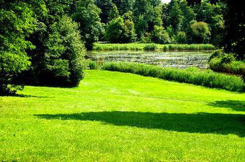 台湾福星彩网投